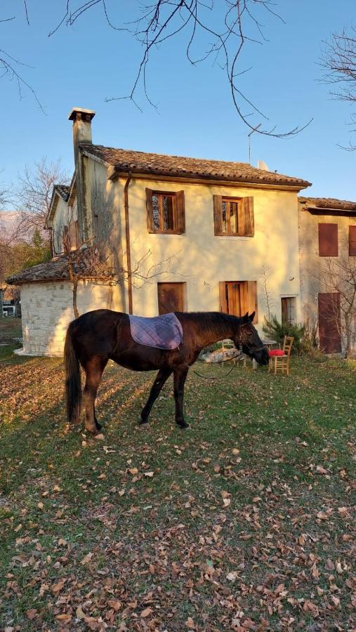 Willa La Caneveta Al Piave Valdobbiadene Zewnętrze zdjęcie