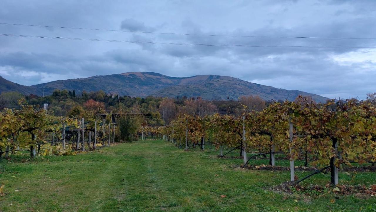 La Caneveta Al Piave Valdobbiadene Zewnętrze zdjęcie