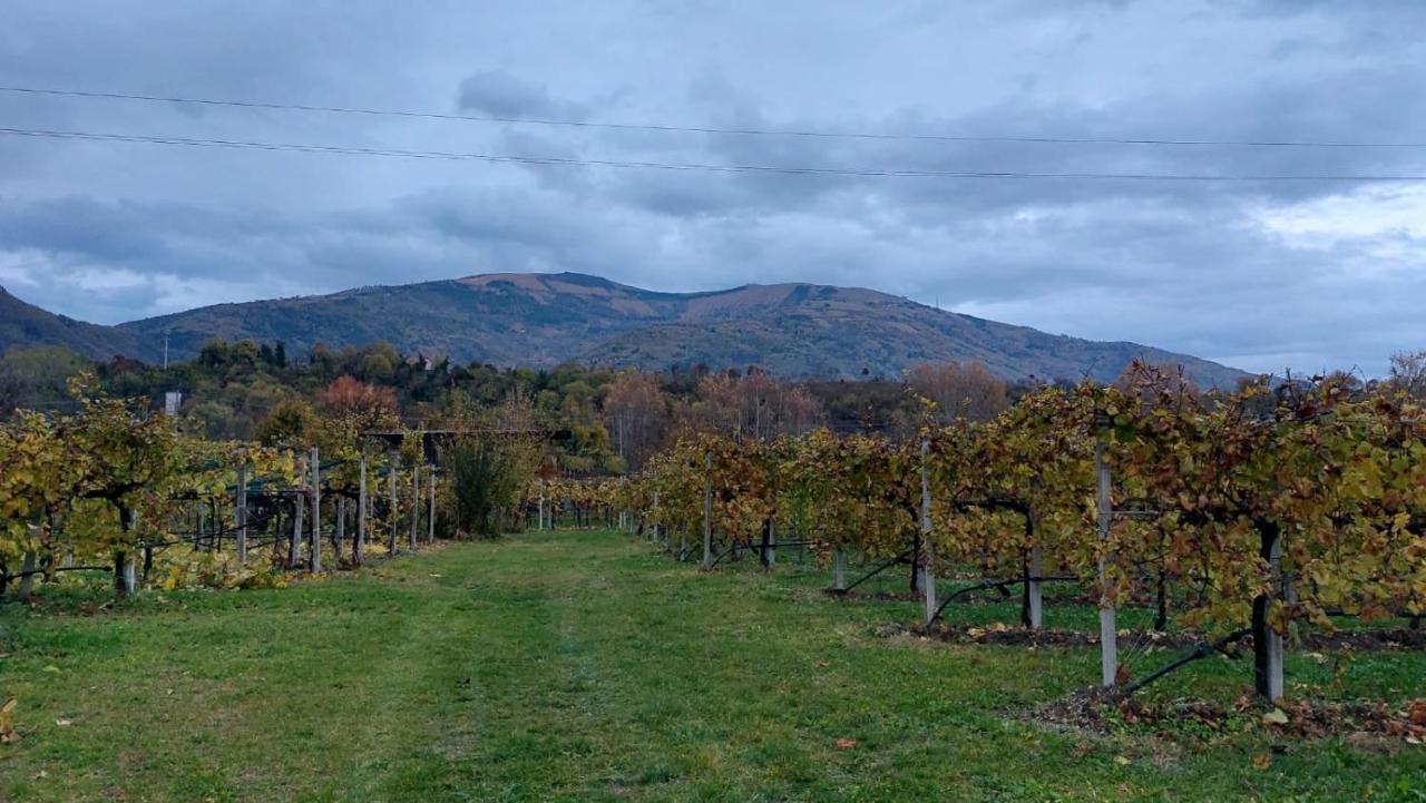 Willa La Caneveta Al Piave Valdobbiadene Zewnętrze zdjęcie