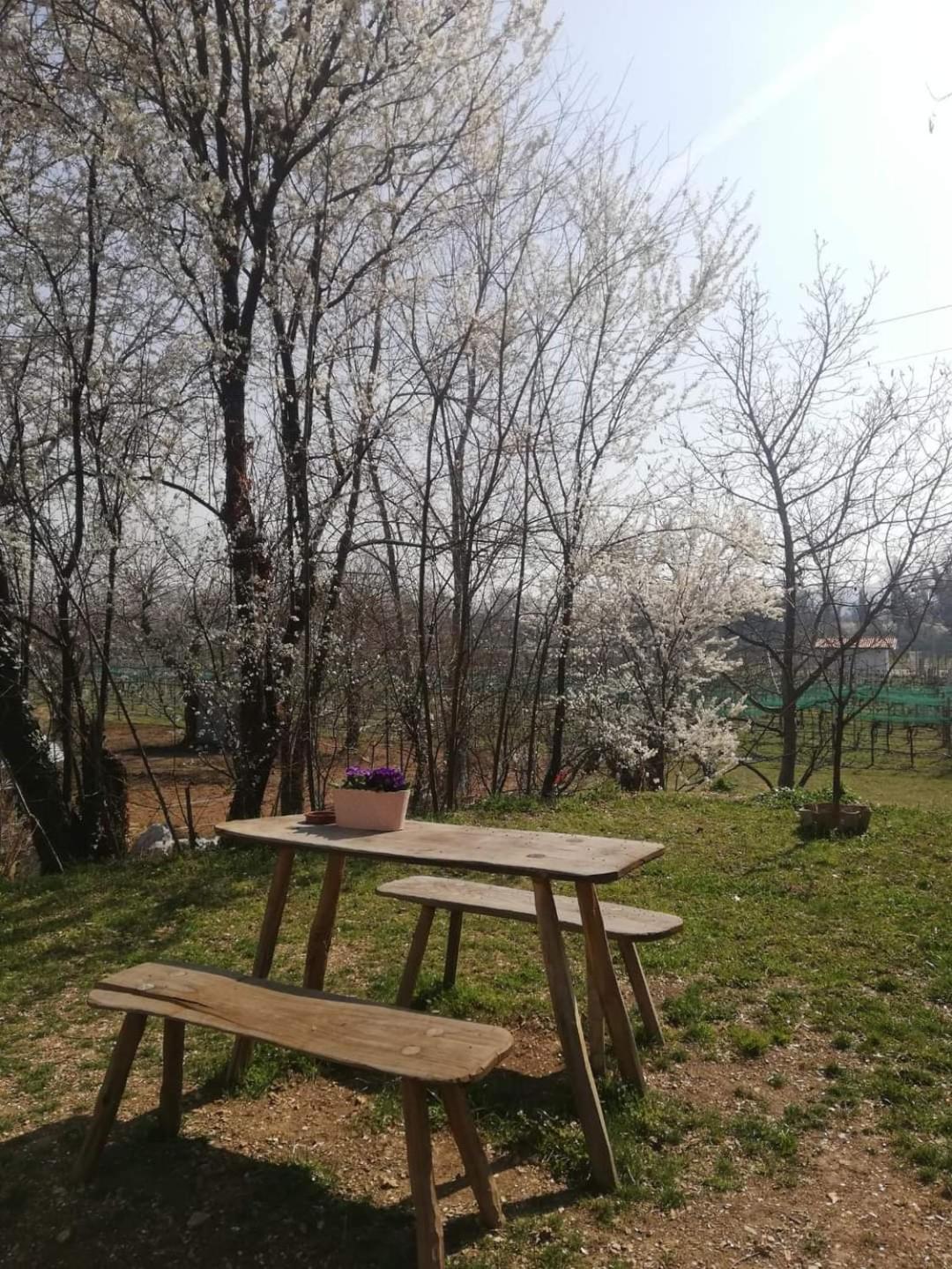 La Caneveta Al Piave Valdobbiadene Zewnętrze zdjęcie