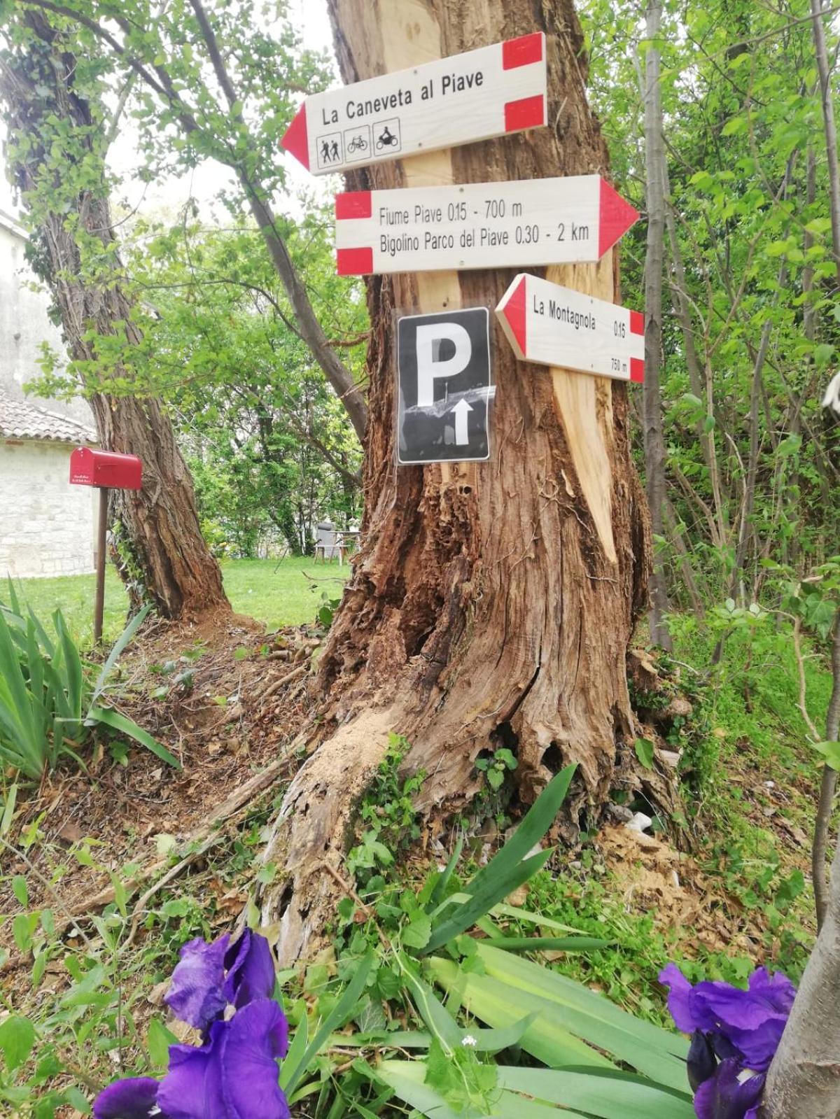 La Caneveta Al Piave Valdobbiadene Zewnętrze zdjęcie